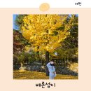 배론성지 관광안내소 | 가을 국내 여행지 추천 단풍 명소 제천 배론성지 주차 시간