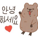 미림플라워 이미지