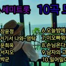 신나는 세미 트롯 이미지