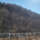마의태자캠핑장