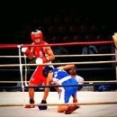 복싱피스트 이미지