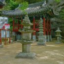 사자사지 이미지