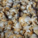 하전농장 이미지