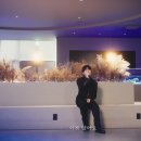 다시사랑한다면