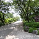 성요셉치매센타 이미지