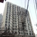 탑패밀리 이미지