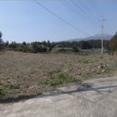 서홍동-10 이미지