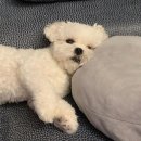 밥풀 네이버블로그