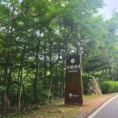 남해여행 국립 편백자연휴양림 노루섬 방문후기