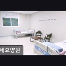 문화공간 가꾸기 | [인천 요양원/추천/후기] 호세요양원 실버타운 맞춤 돌봄 경험