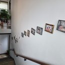 고분도리협동조합 이미지