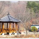 무룡경로당 Daum카페
