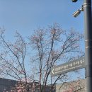 자연과 입체 미술 따라잡기 | 국현미 전시 후기 1탄 MMCA 서울 상설전 : 한국현대미술 하이라이트