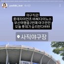 또 롯데 경기 직관 간 부산 3일차 대한일본놈 요시키씨 이미지