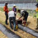 영동1번지 이미지