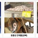 관청농장 이미지