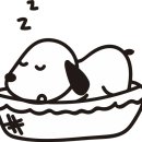 코리아병원 이미지