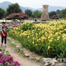 야생화단지 이미지