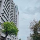 현청과 | 시즈오카 무료 전망대, 현청 별관 21층 후지산 전망 로비