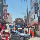 6월 첫째주 일상 | 댕댕이와 함께 간 오산오색시장 솔직후기