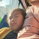 호림약국 | 다짱과 함께한 남포동 데이트 일기