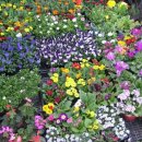 동암재활원 이미지