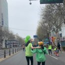 살코치7