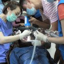 정은치과의원 이미지