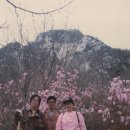 최제, 최혁 효자 정문 | 양주시 문화재 및 관광지