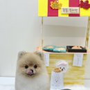 허그몽몽 이미지