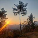 소호 숲 이미지