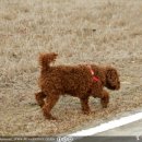 대산문화체육공원(야구장) 이미지