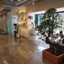 도심속자연나무한의원 이미지