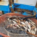 무등펜션 이미지