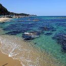 울진 구산어촌체험마을 이미지