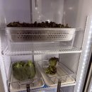 여문숯불장어구이 | 창원 봉곡시장 **동해숯불장어구이** 내돈내산 리얼 후기 이제 다른 장어집 안가요