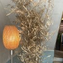 우러남 | [강릉] 여행 필수 코스, 감성 티 카페 Simancha '시만차 림' - 초당옥수수빙수 후기 🌽