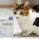 오르헬스케어 이미지