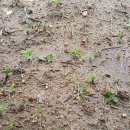 윤지농장 이미지