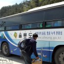 [울릉도숙박/울릉도숙소] 대아울릉리조트에서 숙박하기.