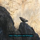 청풍호로 이미지