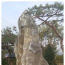 푸른조경 이미지