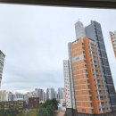 삼환나우빌(아) 이미지