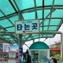 머멍상점