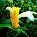 황금휴게실 이미지