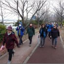 낙동강제방(3) 이미지