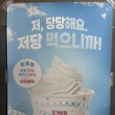 마이요거트립제주