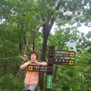 당정골계곡 Daum카페