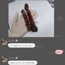 멍멍냠냠 이미지