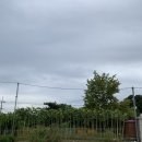 신송초등학교내 이미지